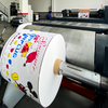 Wide Range Flexography Printing Machine for Carton Preprint