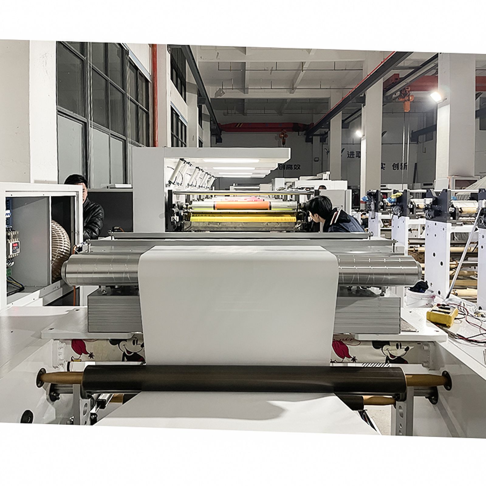 Flexographic Press Machine for Food Packages