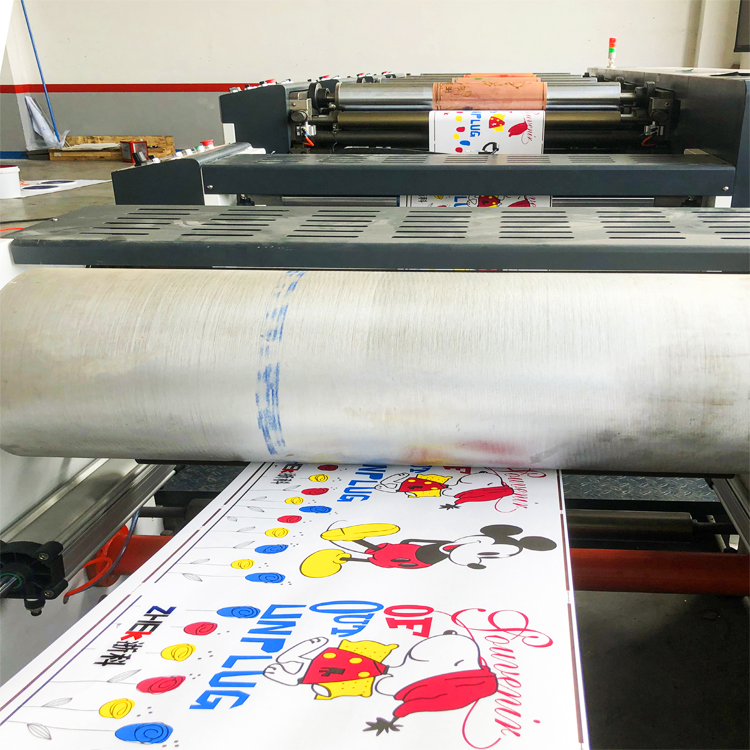 Wide Range Flexography Printing Machine for Carton Preprint